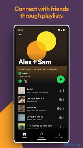 Spotify Screenshot Image #4