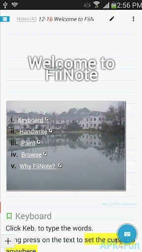 FiiWrite Screenshot Image