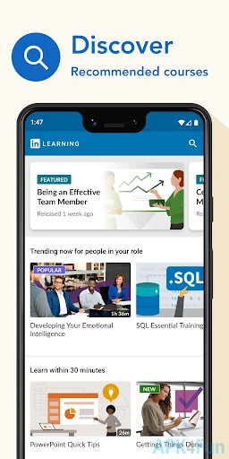 LinkedIn Learning Screenshot Image