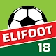 Elifoot 18