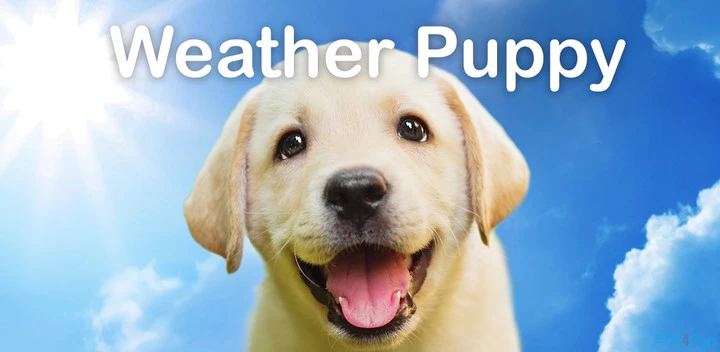 Weather Puppy Screenshot Image