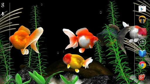 3D Live Fish Wallpaper Screenshot Image