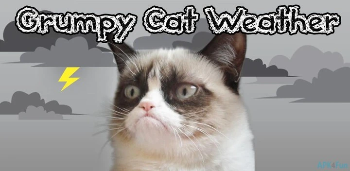 Grumpy Cat Weather Screenshot Image