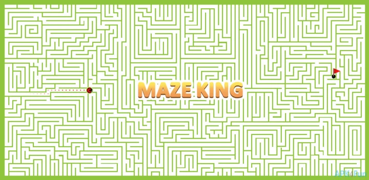 Maze King Screenshot Image