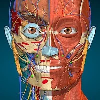 Anatomy Learning - 3D Anatomy APK 2.1.379