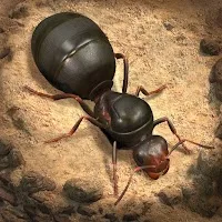 The Ants: Underground Kingdom APK 3.18.0