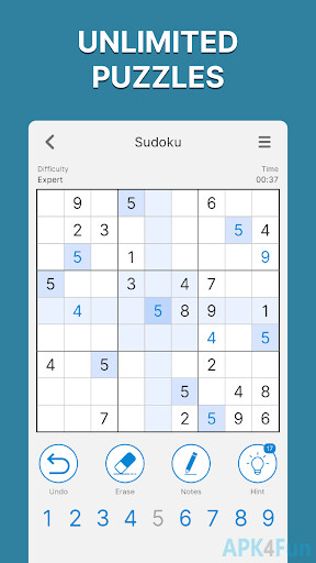 Puzzle Hub Screenshot Image